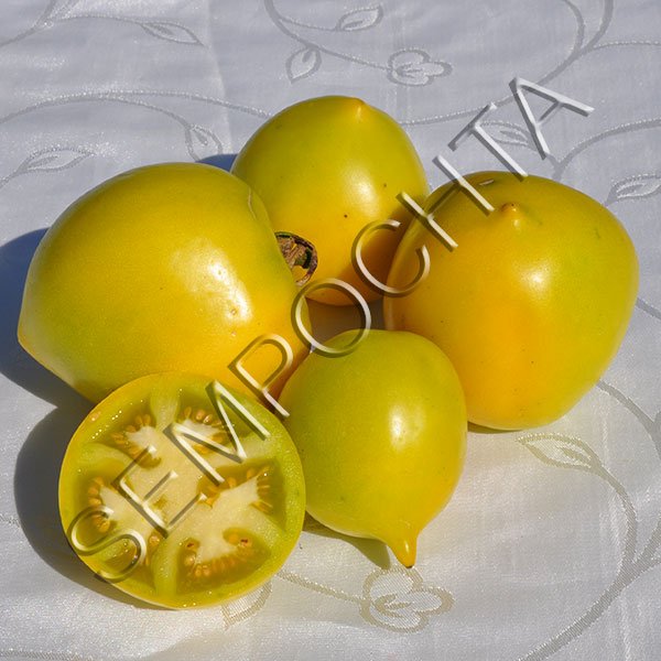 Томат Зимнее Сердце /20 семян/ *Частная коллекция*