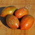 Томат Зуб Кабана (Boar`s Tooth) /20 насінин/ *Приватна колекція*