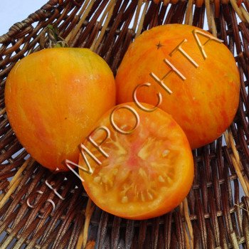 Томат Криваве Серце (Bleding Heart) /20 насінин/ *Приватна колекція*