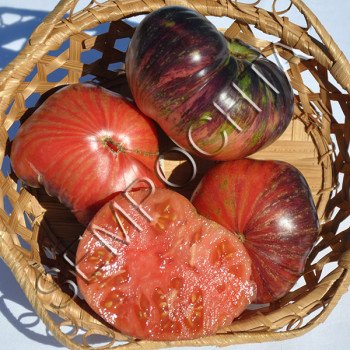 Томат Прекрасный Пышный (Lovely Lush) /20 семян/ *Частная коллекция*