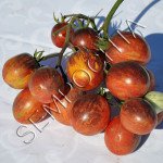 Томат Різнобарвна Краса (Kaleidoscopic Jawel) /20 насінин/ *Приватна колекція*