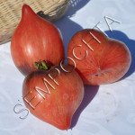 Томат Раненое Сердце (Crushed Heart) /20 семян/ *Частная коллекция*