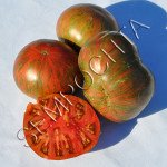 Томат Темна Королева (Dark Queen) /20 насінин/ *Приватна колекція*