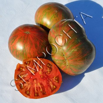 Томат Темная Королева (Dark Queen) /20 семян/ *Частная коллекция*