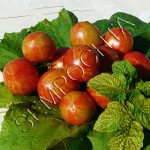 Томат Тигеретта Черри Красные /20 семян/ *Частная коллекция*