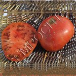 Томат Черный Проект Дина (Dean`s Black Draft) /20 семян/ *Частная коллекция*