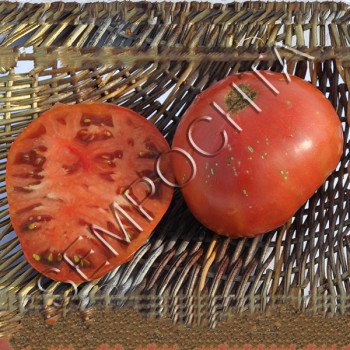 Томат Чорний Проект Діна (Dean`s Black Draft) /20 насінин/ *Приватна колекція*