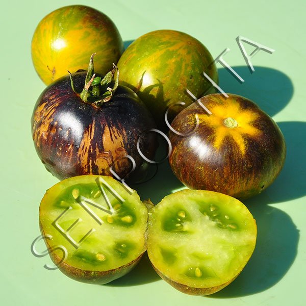 Томат Сине-Зеленая Зебра (Blue-Green Zebra) /20 семян/ *Частная коллекция*