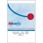 Земляника Али-Баба /1.000 семян/ *Hem Zaden*