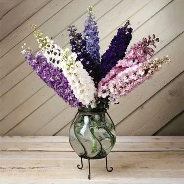 Семена дельфиниума Магический фонтан смесь (mix) /200 семян/ *Benary*