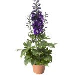 Дельфініум Дельфіна темно-синя з білим вічком (dark blue white bee) /100 насінин/ *Syngenta*