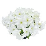 Петунія Саксесс F1 HD біла (white) /500 насінин/ Benary