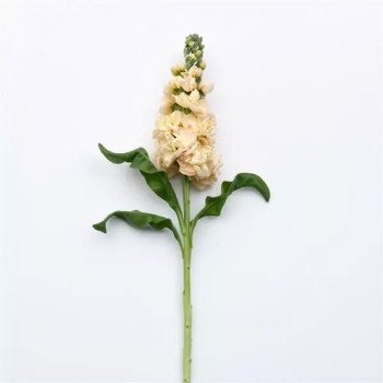 Матіола Аіда апрікот (apricot) /1.000 насінин/ *Pan American*