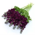 Матіола Аіда пурпурна (purple) /1.000 насінин/ *Pan American*