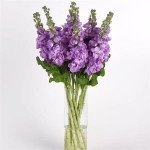 Маттиола Матильда лавандовая (lavender) /1.000 семян/ *Pan American*