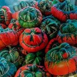 Тыква декоративная Турецкий Тюрбан /100 семян/ *W.Legutko*