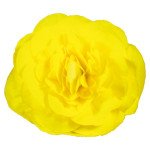 Бегонія Нонстоп F1 жовта (yellow) /100 насінин (драже)/ *Benary*