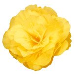 Бегония Нонстоп Мокка F1 желтая (yellow) /100 семян/ *Benary*