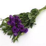 Эустома Флаер F1 темно-синяя (deep blue) /100 семян (драже)/ *Pan American*