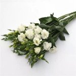 Эустома Флаер F1 белая (white) /100 семян (драже)/ *Pan American*