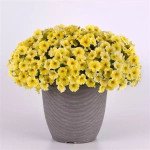 Петхоа Калібурст F1 жовта (yellow) /50 насінин (драже)/ *Pan American*