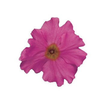 Примула Прима F1 лілова (lilac) /100 насінин/ *Sakata*