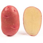 Картофель Торнадо (элита) /25 кг/