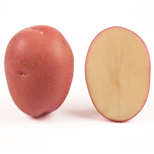 Картофель Кристина (элита) /25 кг/