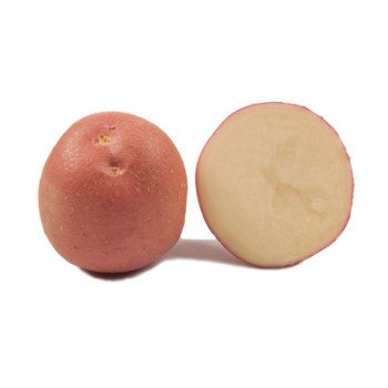 Картопля Інфініті (еліта) /25 кг/