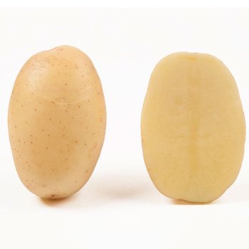 Картопля Нектар (еліта) /5 кг/