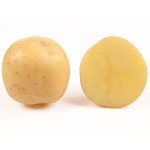 Картопля Електра (еліта) /5 кг/