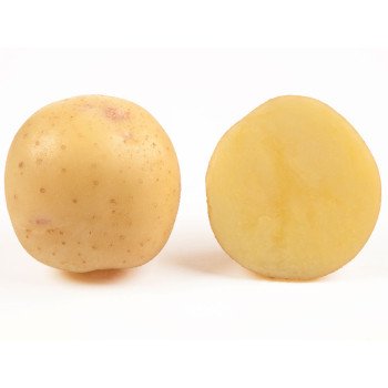 Картопля Електра (еліта) /5 кг/