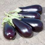 Баклажан Прадо F1 /50 семян/ *Kitano Seeds*