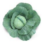 Капуста білоголова Акіра F1 /100 насінин/ *Kitano Seeds*