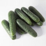 Огурец KS 80 (Синклер) F1 /50 семян/ *Kitano Seeds*