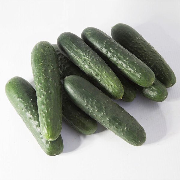 Семена огурца Синклер (KS 80) F1 /50 семян/ *Kitano Seeds*