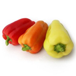 Перец сладкий Яника F1 /20 семян/ *Kitano Seeds*