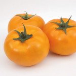 Томат KS 10 (Ямамото) F1 /20 семян/ *Kitano Seeds*