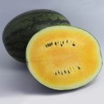 Кавун KS 500 F1 /20 насінин/ *Kitano Seeds*