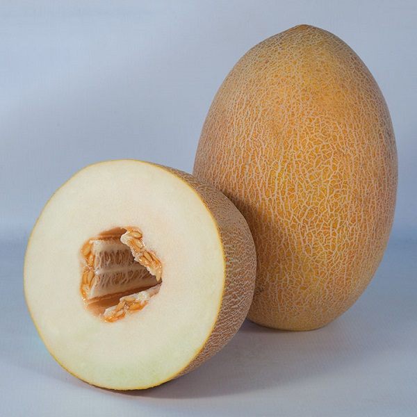 Семена дыни KS 6188 (Кубус) F1 /20 семян/ *Kitano Seeds*