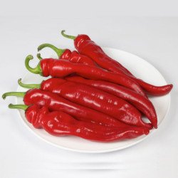 Перець гіркий KS 65 F1 /20 насінин/ *Kitano Seeds*