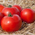 Томат Хайд F1 /50 насінин/ *Kitano Seeds*