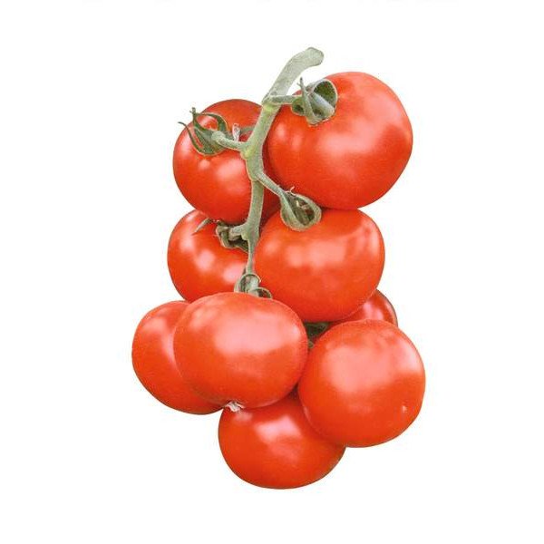 Семена томата Абелус F1 /10 шт/ *Rijk Zwaan*