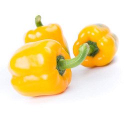 Перець солодкий Іланга F1 /10 насінин/ *Rijk Zwaan*