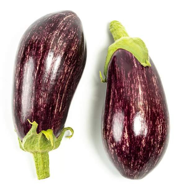 Насіння баклажана Лейре F1 /10 насінин/ *Rijk Zwaan*