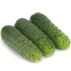 Огурец Караоке F1 /50 семян/ *Rijk Zwaan*