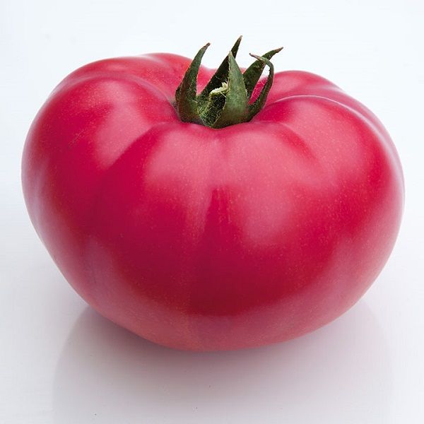 Томат KS 3811 (Каншин) F1 /20 семян/ *Kitano Seeds*