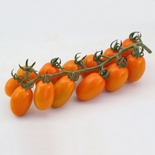 Томат KS 97 F1 /20 семян/ *Kitano Seeds*