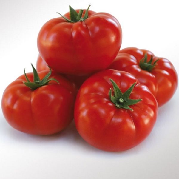 Томат KS 206 F1 /20 насінин/ *Kitano Seeds*