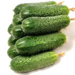 Огірок Арктика F1 /50 насінин/ *Nong Woo Bio*